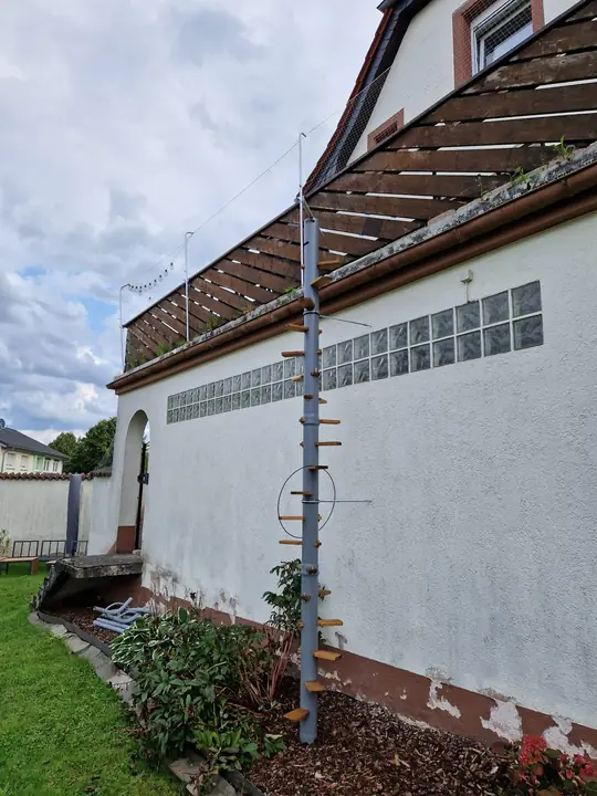 Cat ladder: a pole with wooden steps along the house wall from the terrace down to the garden